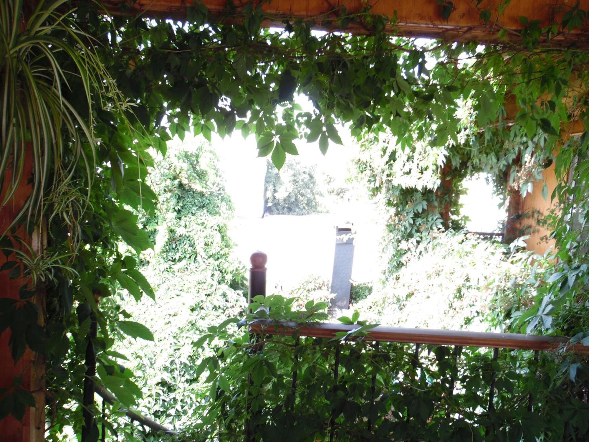 Casa Rosa Hostel סנטיאגו מראה חיצוני תמונה