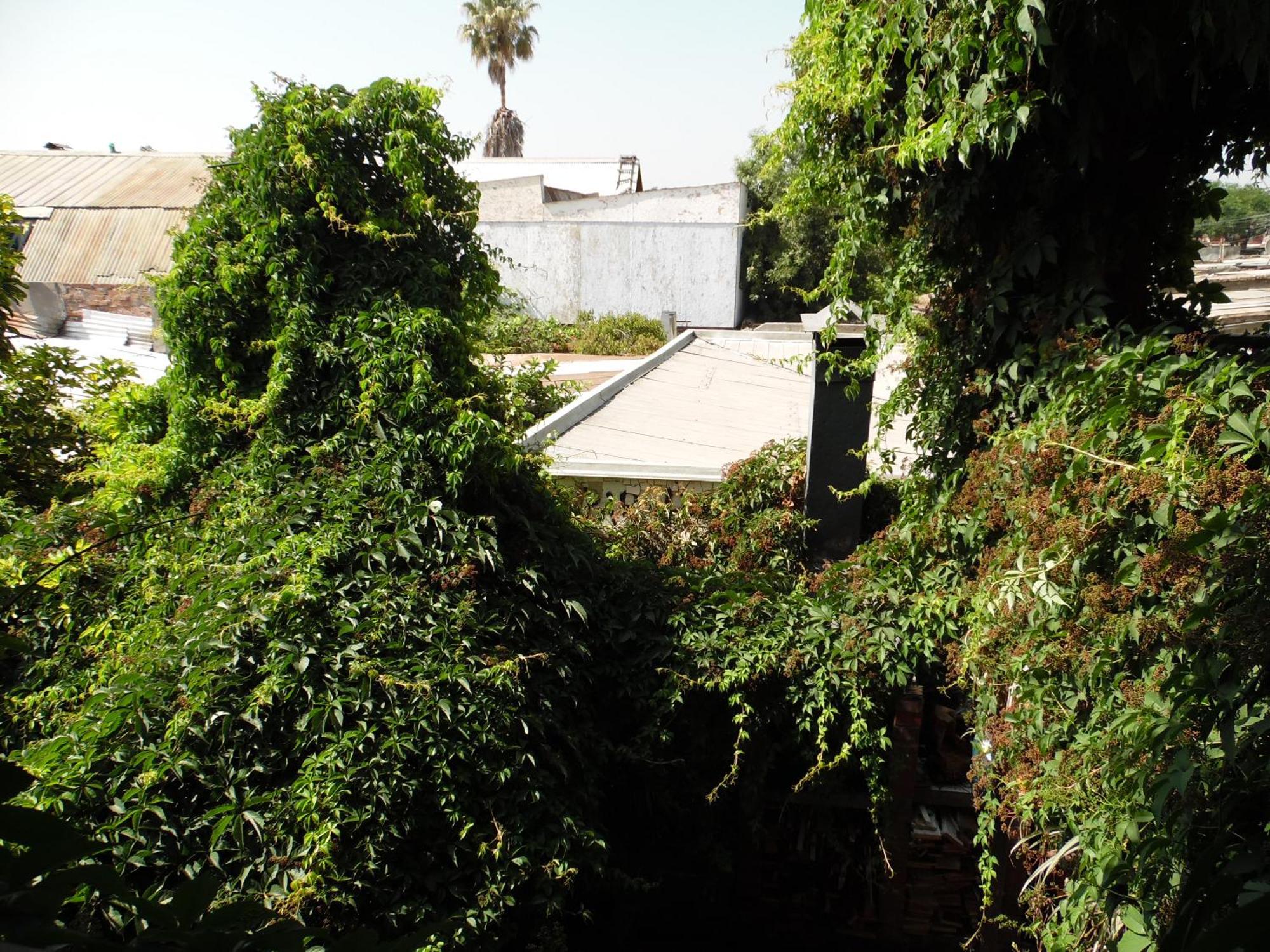 Casa Rosa Hostel סנטיאגו מראה חיצוני תמונה